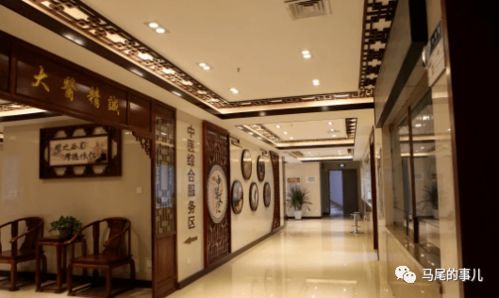 傳承國粹，守護(hù)健康——羅星街道社區(qū)衛(wèi)生服務(wù)中心中醫(yī)門診正式開診